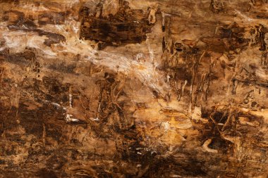 Taze pişmiş ekmek.