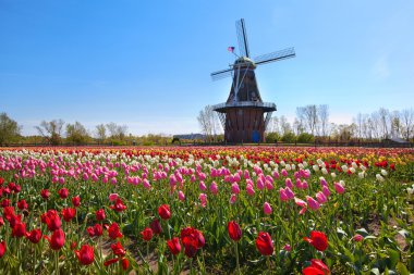 Holland Michigan ahşap fırıldak