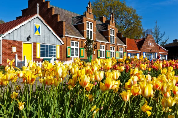 Tulipas e primavera na Holanda Michigan — Fotografia de Stock