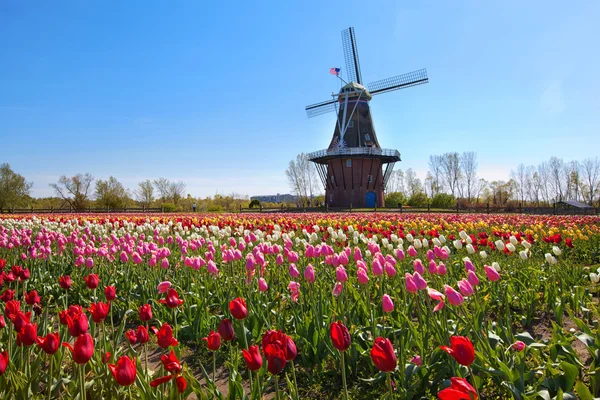 Moinho de vento de madeira na Holanda Michigan — Fotografia de Stock