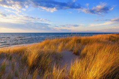 Michigan Gölü'altın Dune çim Ludington State Park