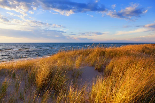 Michiganské jezero zlaté žluté trávě Ludington státní Park — Stock fotografie