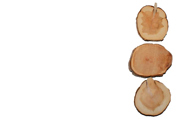 ツゲの木木製コースター カップ — ストック写真