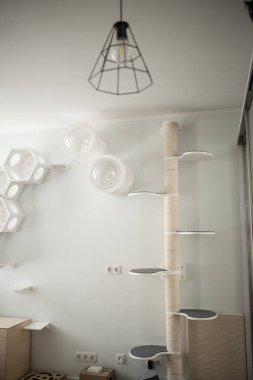 Kediler eviniz için mobilya