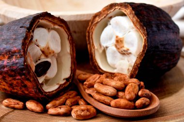 Soyulmuş ve kabuklu fındık