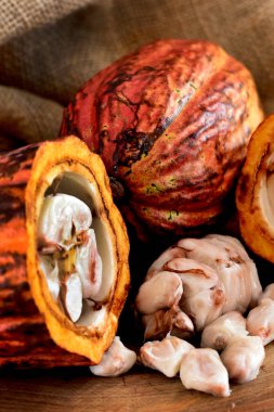 Tahtadaki kakao meyvesi.