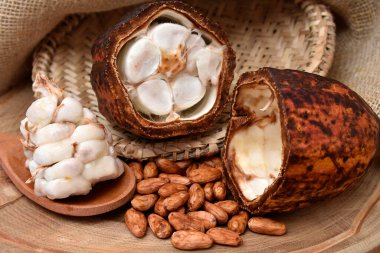 Soyulmuş ve kabuklu fındık