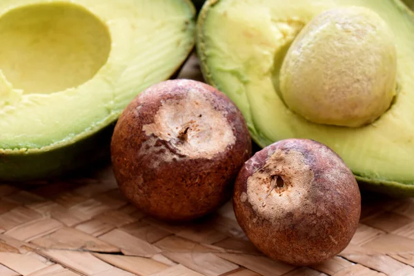 Avocado Seeds Wooden Background — Stock Photo, Image