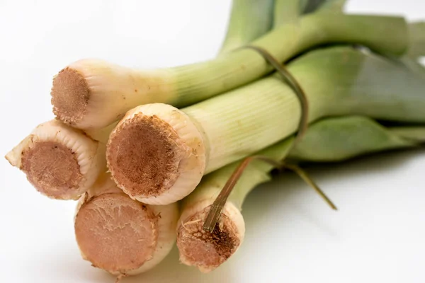 Fresh Organic Ginger Root White Background — Stock Photo, Image