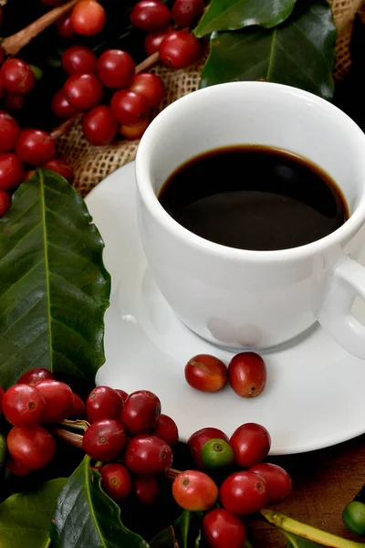 Café Frutas Vermelhas Feijão Marrom Folhas Verdes Xícara Branca — Fotografia de Stock