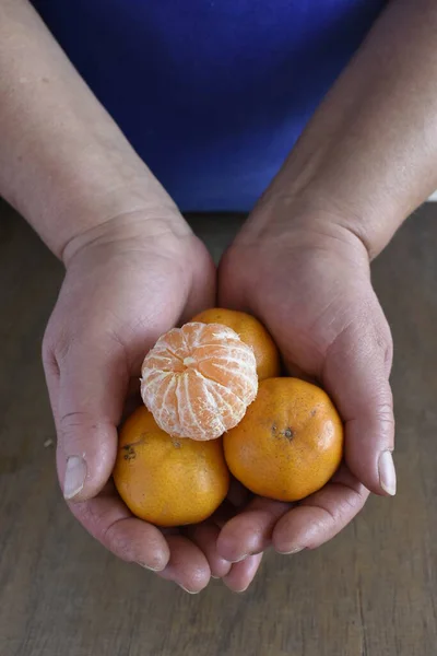 Female Hands Holding Tangerines — Stock Photo, Image