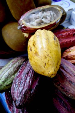 Pazarda taze organik incir