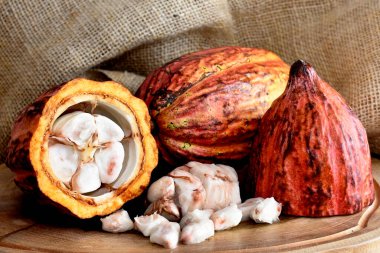 Tahtadaki kakao meyvesi.