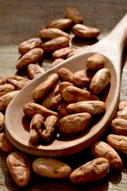 roasted peanuts in a wooden spoon