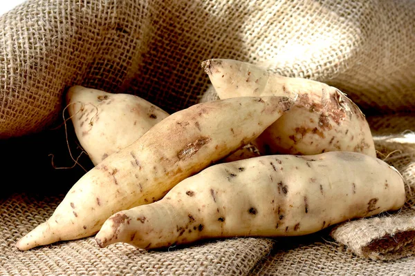 Rohe Wurzeln Auf Klette Sack — Stockfoto