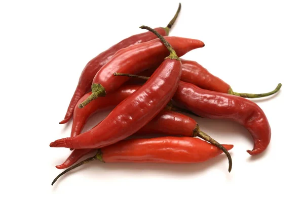 Chiles Rojos Aislados Sobre Fondo Blanco — Foto de Stock