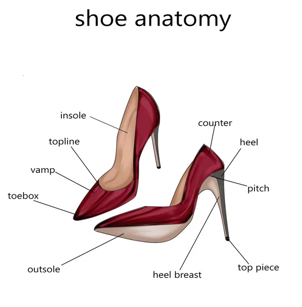 Ilustração da moda - Raster Ilustração da anatomia de um sapato — Fotografia de Stock