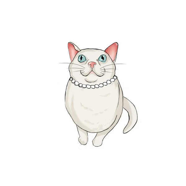 Kvinnliga vit katt bär ett halsband av pärlor — Stockfoto