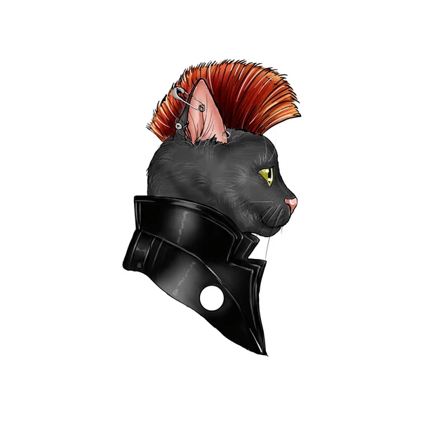 Ilustração desenhada à mão de um felino vestido como um personagem punk rock — Fotografia de Stock