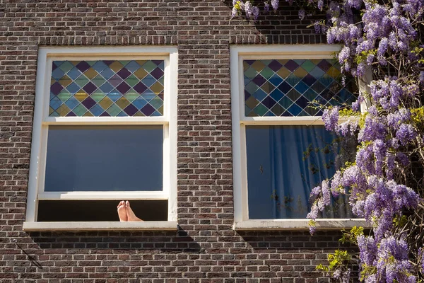 Někdo Dává Bosé Nohy Okna Amsterdamu Fialovou Vistárií Fasádě Budovy — Stock fotografie