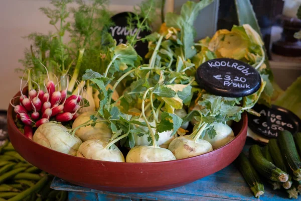 Variety Fresh Vegetables Displayed Bowl Radishes Kohlrabi German Turnip Horizontal — Stock Photo, Image