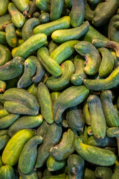 Volledig Frame Close Van Verse Groene Augurken Augurken Verticaal — Stockfoto