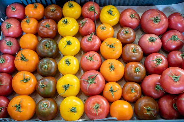 Tomates Multicoloridos Frescos Exposição Uma Tenda Mercado Tomates Laranja Vermelho — Fotografia de Stock