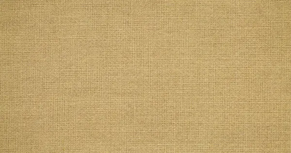 Material Lino Natural Textil Textura Lona Fondo — Foto de Stock