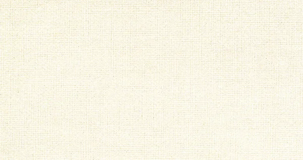 Material Lino Natural Textil Textura Lona Fondo — Foto de Stock