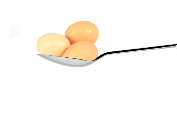 Eggs — Stock Photo, Image