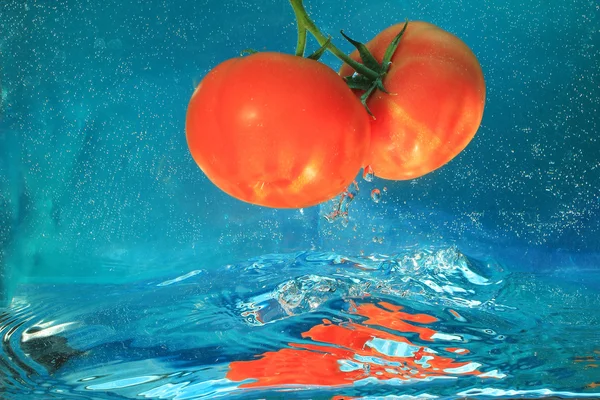 Tomatoes — Stock Photo, Image