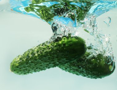 Cucumber in water clipart