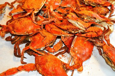 Buğulanmış Maryland mavi yengeç