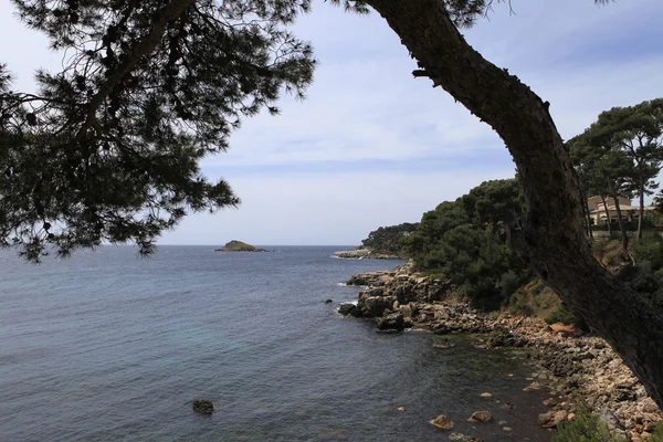 Costa em Bandol, francês riviera, frança — Fotografia de Stock