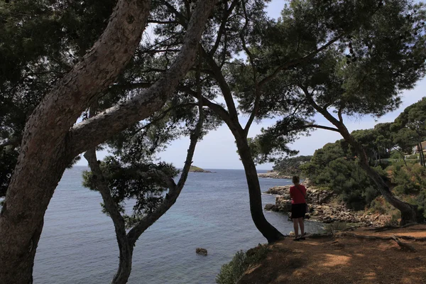 Litorale a Bandol, Riviera Francese, Francia — Foto Stock