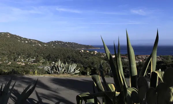 Coastline in Le Lavandou, french riviera,  france — Stock Photo, Image