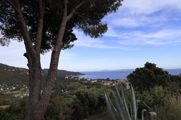 Litorale a Le Lavandou, Riviera Francese, Francia — Foto Stock