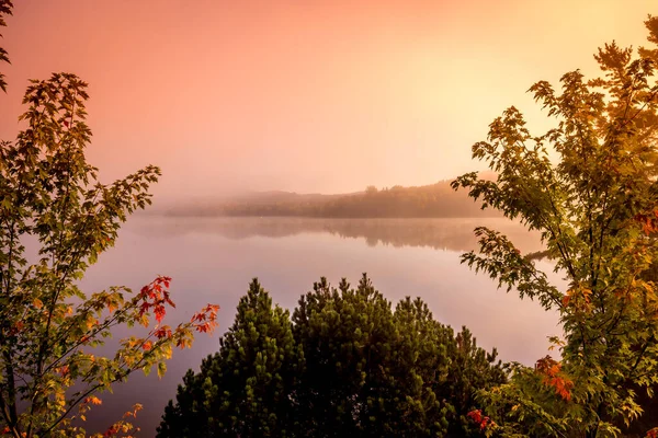 Blick Auf Einen Bootsanleger Lac Superieur Nebliger Morgen Mit Nebel — Stockfoto