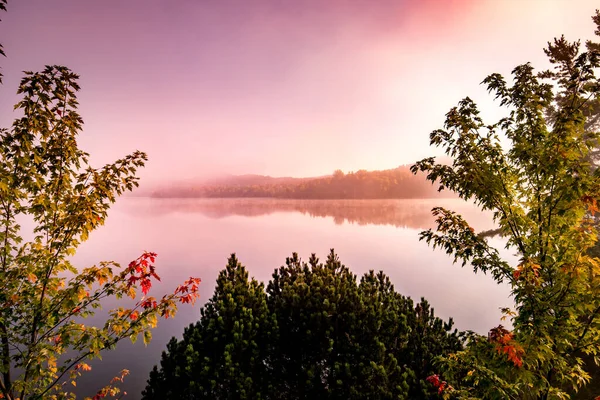 Blick Auf Einen Bootsanleger Lac Superieur Nebliger Morgen Mit Nebel — Stockfoto