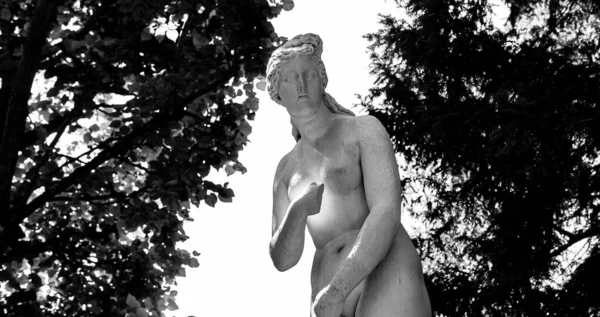 Компень Франция Август Августа 2016 Года Статуя Саду Шато Компаньон — стоковое фото