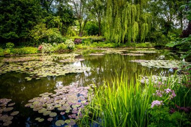 GIVERNY, FRANCE, 21 Mayıs 2015: Empresyonist bahçeler ve Claude Monet göletleri Giverny, Normandiya, Fransa