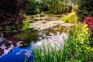 GIVERNY, FRANCE, 21 Mayıs 2015: Empresyonist bahçeler ve Claude Monet göletleri Giverny, Normandiya, Fransa