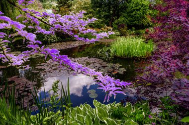 GIVERNY, FRANCE, 21 Mayıs 2015: Empresyonist bahçeler ve Claude Monet göletleri Giverny, Normandiya, Fransa
