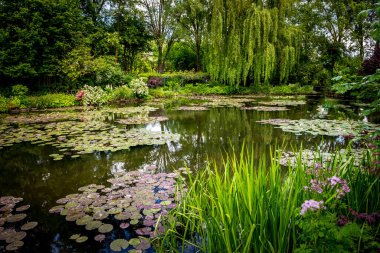 GIVERNY, FRANCE, 21 Mayıs 2015: Empresyonist bahçeler ve Claude Monet göletleri Giverny, Normandiya, Fransa