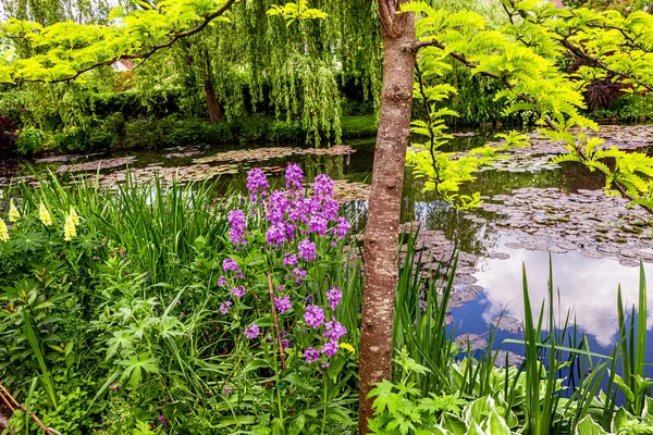 Giverny Francia Mayo 2015 Jardines Estanques Impresionistas Claude Monet Giverny — Foto de Stock