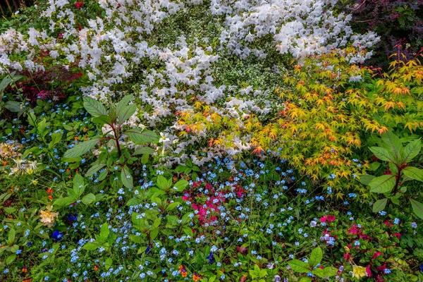Giverny Frankreich Mai 2015 Impressionistische Gärten Und Teiche Von Claude — Stockfoto