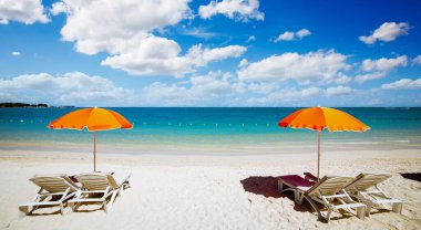 Mauritius adasında şempanzeler ve kumsallar