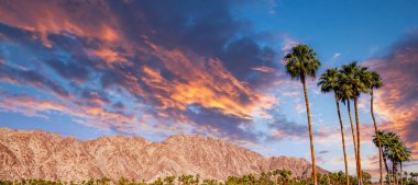 San Jacinto Dağı, Palm Springs, California