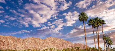 San Jacinto Dağı, Palm Springs, California