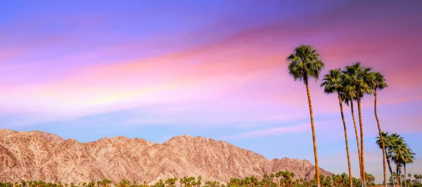 San Jacinto Dağı, Palm Springs, California